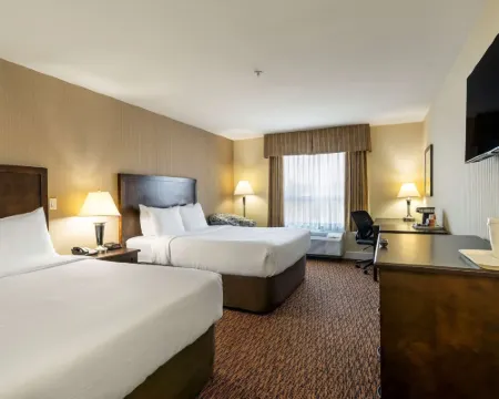 Comfort Inn & Suites Hotels in Guildford