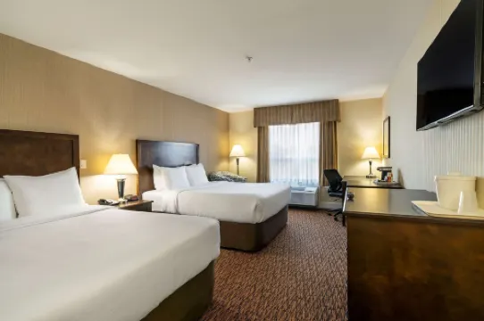 Comfort Inn & Suites