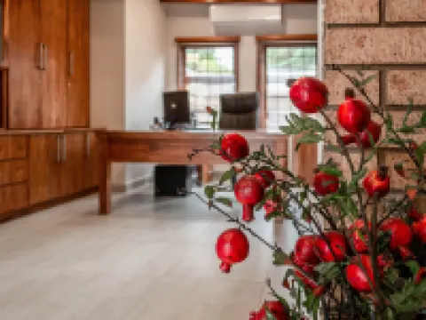 Camelot Guest House & Apartments Hotels in Southern DC