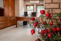 Camelot Guest House & Apartments Hotels in Potchefstroom