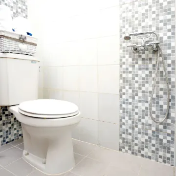 D'Paragon Songgolangit