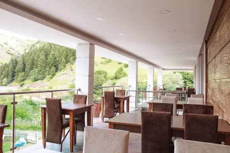 Hotel Green Valley Savsat Отели в г. Yukarikoyunlu Koyu