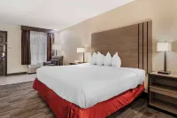 Best Western of Alexandria Inn  Suites  Conference Center - 3-Star