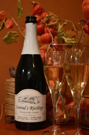 Ferienhaus Moselglück Отели рядом с достопримечательностью «Golden Nugget»