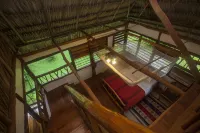 Cotton Tree Lodge Hotel di 
