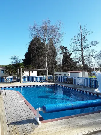 Whanganui River Top 10 Holiday Park Отели в г. Уонгануи