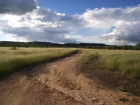 Sasa Safari Camp & Tours Hotéis em Outjo