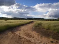 Sasa Safari Camp & Tours Hotels in Outjo