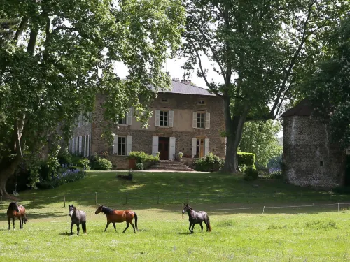 Domaine la Bonne Etoile - Pensions