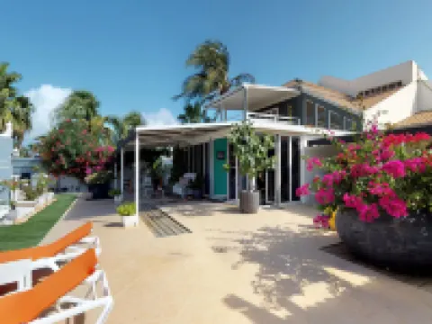 阿魯巴現代酒店 棕櫚灘酒店