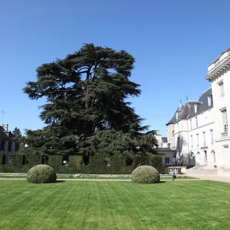 La Maison Jules