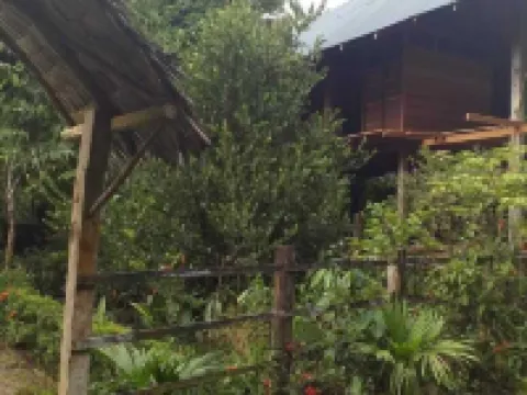 Cabaña Los Termales Hotels in Nuqui