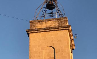 Couleurs de Camargue