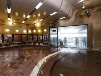 Yunogo Grand Hotel Hotels in Shoo