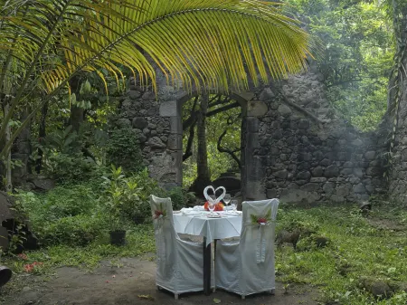 Anse Chastanet Resort Отели рядом с достопримечательностью «Анс Частанет Бич»