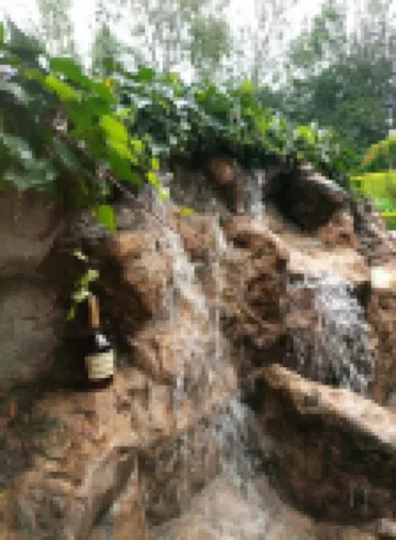 Brownie's Guest House