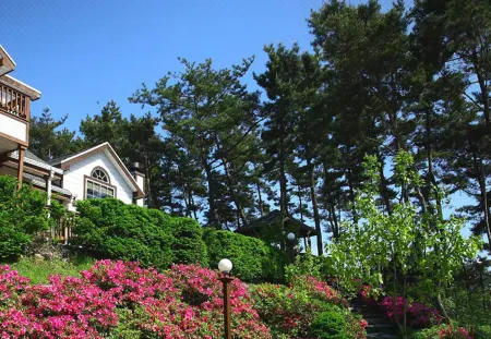 Petit Maison Pension Отели рядом с достопримечательностью «Ch'ŏngp'odae-haesuyokchang»