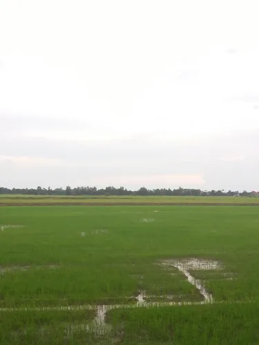 รูปภาพของเซเว่นอั้พ รีสอร์ท