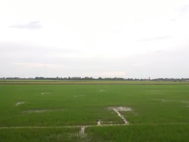 รูปภาพของเซเว่นอั้พ รีสอร์ท