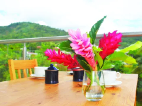 アレクズ ホテル アピアのホテル