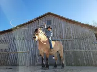TA Ranch