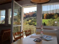 Steiert Panorama Apartments Todtnau Hotels in Todtnau