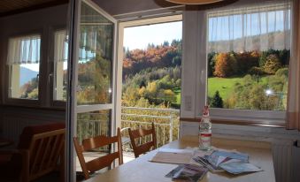 Steiert Panorama Apartments Todtnau