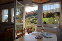 Steiert Panorama Apartments Todtnau - 3-Star