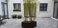 Design Central Apartment - parkir
