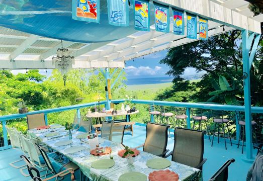 하와이안 숲속의 힐링 공간