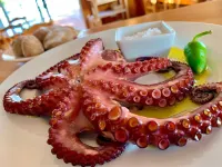 Pensión Amparo Las Hayas Hotels in Hermigua