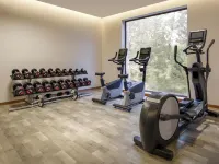 Hyatt Centric Soalteemode Kathmandu - Gym