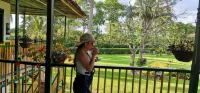 Finca Hotel El Palmar - Mountain view