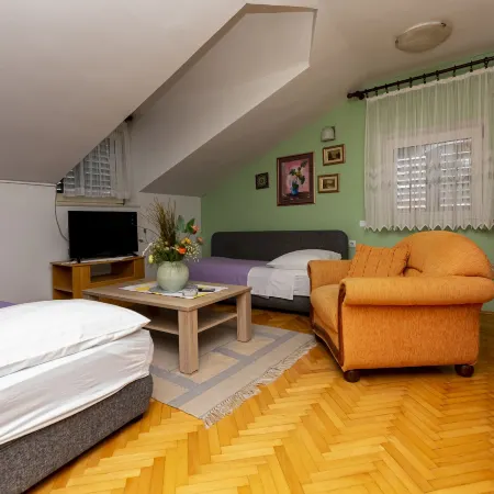 Apartment Ivanka Отели в г. Омиш