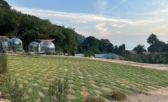 Dnamie Glamping - Lux Tent