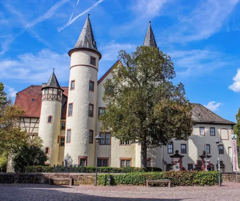 Boutique Hotel Bundschuh 3 Sterne Superior Hôtels à : Gemunden am Main