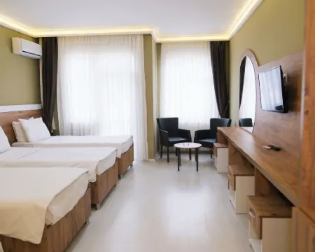 Altayhan Hotel Hotels in Amasya