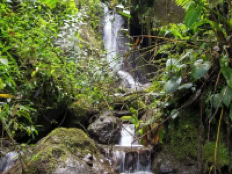 Neblina Bird Hoteles en Cotacachi