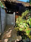 TreeTop Mansion, where the jungle meets the sea! Hotels in 