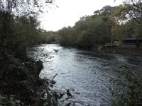 RiverFront, WI-FI /Cell,  Pet Friendly, Folk School