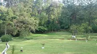 Wonderful farm near São Paulo