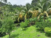 Pinard's Mountain Resort - Cottage 5 Hoteles en 