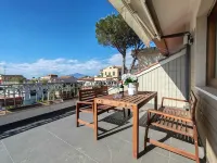 FLOWERFLY BY THE SEA IN SANT'AGNELLO