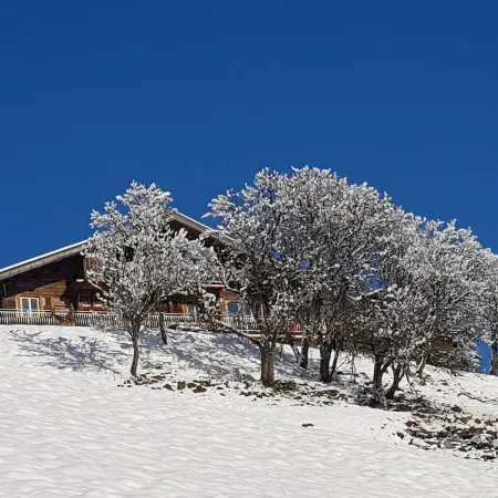 A hidden paradise with 10-seat Jacuzzi and outdoor sauna, beautiful view