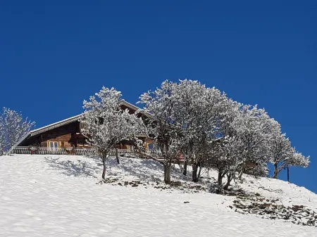 A hidden paradise with 10-seat Jacuzzi and outdoor sauna, beautiful view