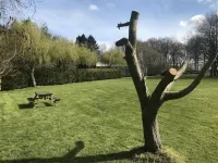 Rural, secluded holiday lodge close to beaches and Sandringham