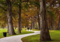 "The Brixley House" off the Kerrville River Trail w/Private Backyard