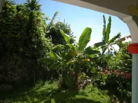 Villa with large terrace and breathtaking ocean views nearby Hotels near Maya Beach