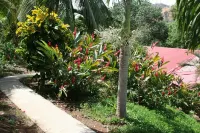 Ocean View Villa with Pool - Villas Casa Loma - Suite 101