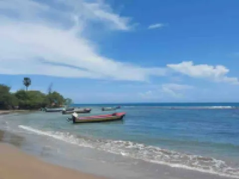 VillaMerissa Nestled between two unspoiled beaches Pool/JackSprat/WiFi/Gym/Staff Hotels in Treasure Beach